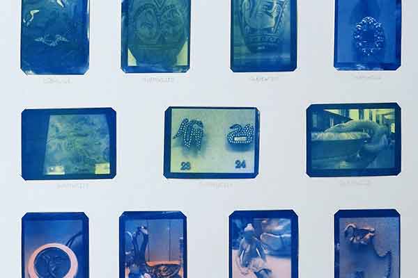 Cyanotypes of swan objects in the British Museum
