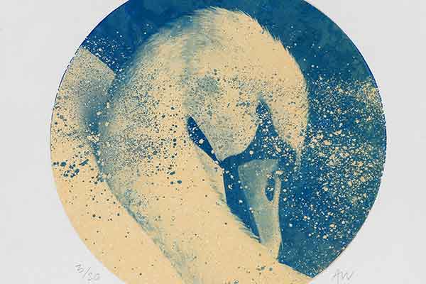 Abstract illustration of a swan in blue and beige tones. The swan, depicted within a circular frame, is textured with splattered paint, conveying a peaceful, artistic mood.