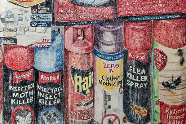 A colourful array of insecticide spray cans in various brands and colours, tightly lined up on a shelf. The mood is functional and diverse.
