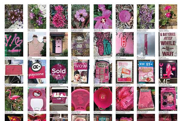 Collage of various pink-themed objects and scenes, including flowers, signs, and decorations. The vibrant pink tones create a lively and playful mood.